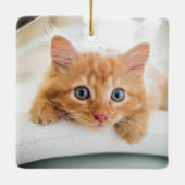 猫の初めてのクリスマス写真 セラミックオーナメント (裏面)