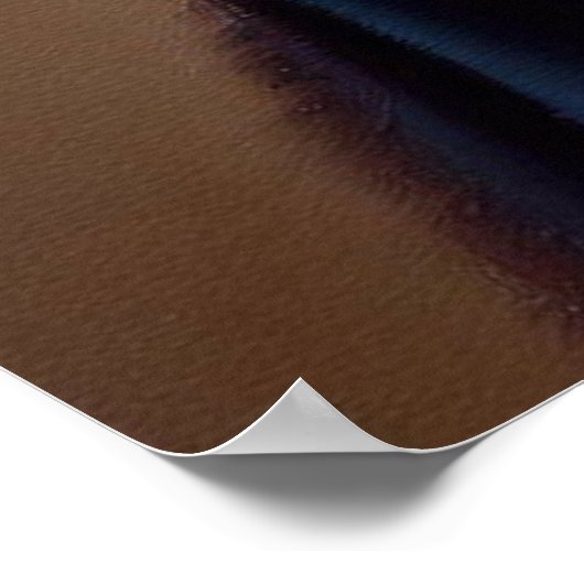 猫の卒業生 ポスター (角)