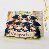 猫の卒業祝い カード (黄色い花)