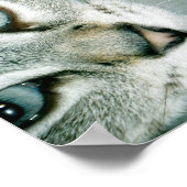 猫の友だち001 ポスター (角)