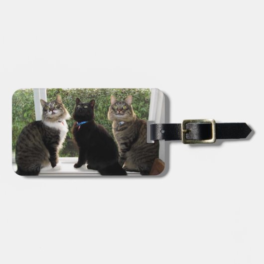 猫の友人3人の荷物タグ ラゲッジタグ (正面横)