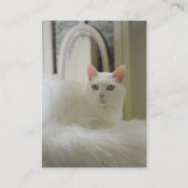 猫の名刺 名刺 (裏面)