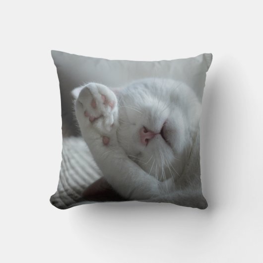 猫の名前(両面)を印刷した猫枕 クッション (正面)