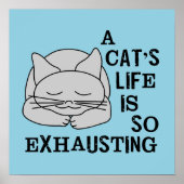 猫の命 ポスター (正面)