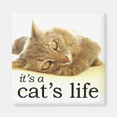 猫の命 – 磁石 (正面)