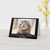 猫の哲学-おもしろいな挨拶状 カード (黄色い花)