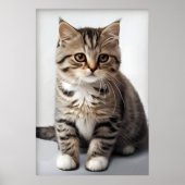 猫の失った視線 ポスター (正面)