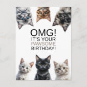 猫の女王の誕生日 | ヤバい！あなたの誕生日おめでとう 面白い ポストカード (正面)