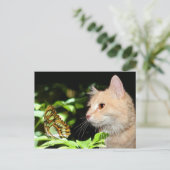 猫の好奇心 ポストカード (スタンド正面)