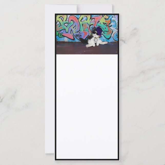 猫の姿勢…..キットンと落書きウォール (正面)