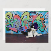 猫の姿勢…..キットンと落書きウォール 招待状 (正面/裏面)