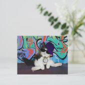 猫の姿勢…...猫っぽさ! ポストカード (スタンド正面)