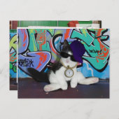 猫の姿勢…...猫っぽさ! ポストカード (正面/裏面)