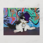 猫の姿勢…...猫っぽさ！ ポストカード (正面)