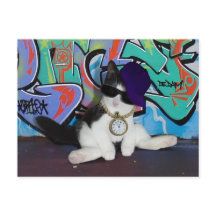 猫の姿勢…...猫っぽさ！