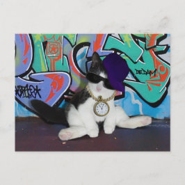 猫の姿勢…...猫っぽさ！ ポストカード