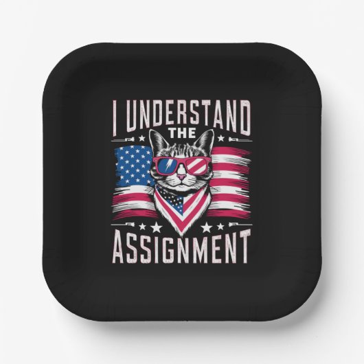 猫の子どものいない猫レディという課題は理解している ペーパープレート (正面)