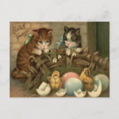 猫の子ネコのイースターによって着色される色彩の鮮やかな卵のひよこ シーズンポストカード (正面)