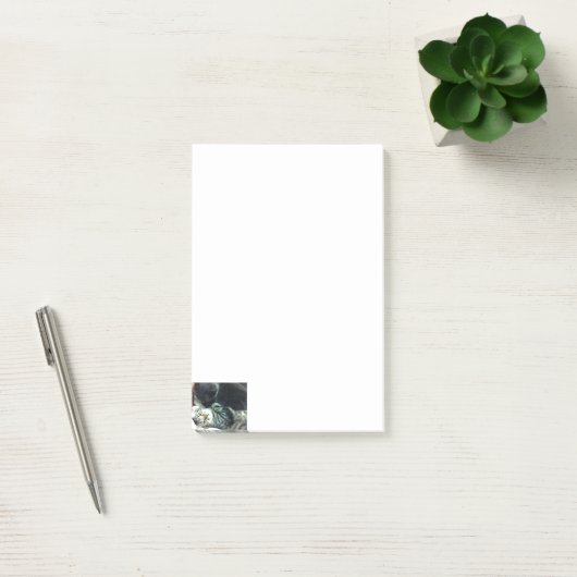 猫の子メモ ポストイット (オフィス)