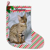 猫の子猫フォトキュートなクリスマスストッキング追加の名前 ラージクリスマスストッキング (正面)