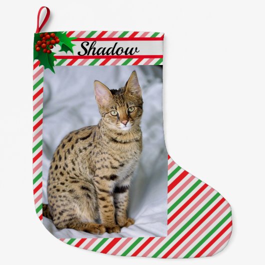 猫の子猫フォトキュートなクリスマスストッキング追加の名前 ラージクリスマスストッキング (正面)