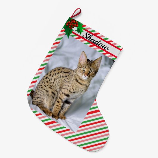 猫の子猫フォトキュートなクリスマスストッキング追加の名前 ラージクリスマスストッキング (正面 (吊り時))