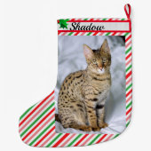 猫の子猫フォトキュートなクリスマスストッキング追加の名前 ラージクリスマスストッキング (裏面)