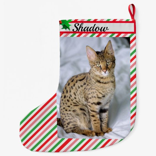 猫の子猫フォトキュートなクリスマスストッキング追加の名前 ラージクリスマスストッキング (裏面)