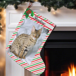猫の子猫フォトキュートなクリスマスストッキング追加の名前 ラージクリスマスストッキング
