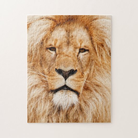 猫の子猫写真動物写真家 ジグソーパズル (縦)