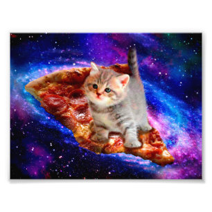 猫の宇宙 フォトプリント