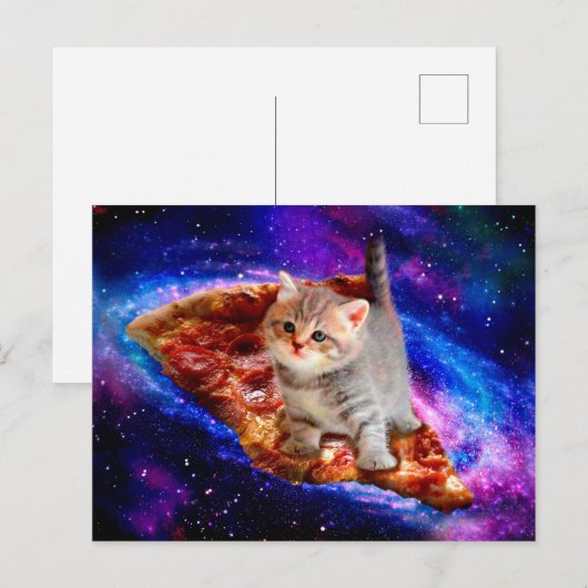 猫の宇宙 ポストカード (正面/裏面)