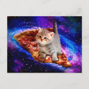 猫の宇宙 ポストカード