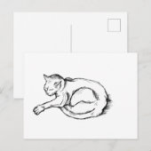 猫の寝姿のイラスト ペン画アート ポストカード (正面/裏面)