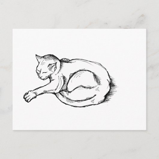 猫の寝姿のイラスト ペン画アート ポストカード (正面)