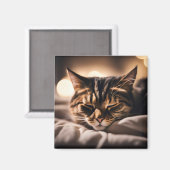 猫の寝顔マグネット マグネット (正面/裏面)