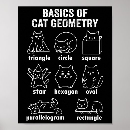 猫の幾何学の面白い物理学 学校に戻る数学T ポスター (正面)