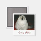 猫の座りマグネットをチャネタルかわいらしする マグネット (正面/裏面)