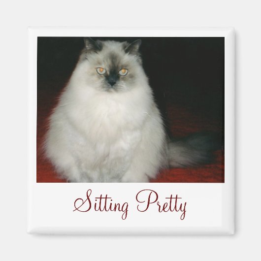 猫の座りマグネットをチャネタルかわいらしする マグネット (正面)