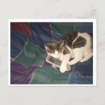 猫の引き寄せリモコン