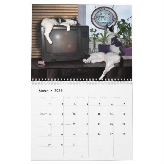 猫の引用文😽カ図解入りの、写真付きのレンダー カレンダー (3月 2026)