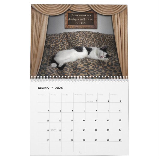 猫の引用文😽カ図解入りの、写真付きのレンダー カレンダー (1月 2026)