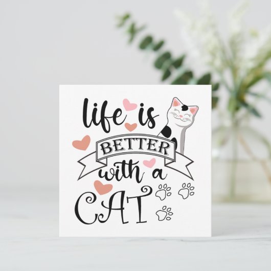 猫の引用文 (スタンド正面)