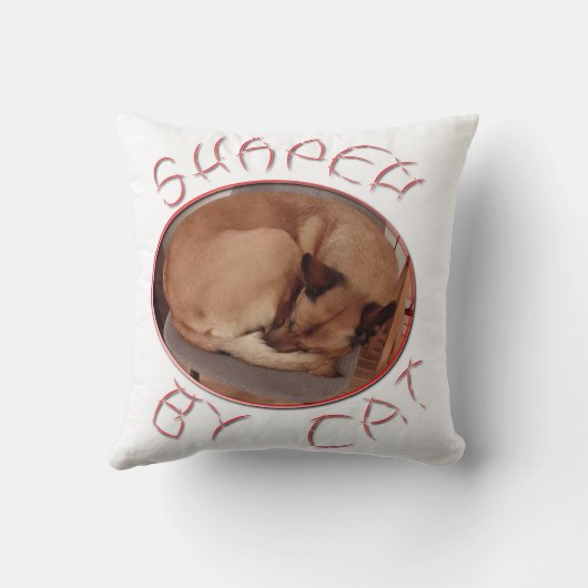 猫の形 クッション (裏面)