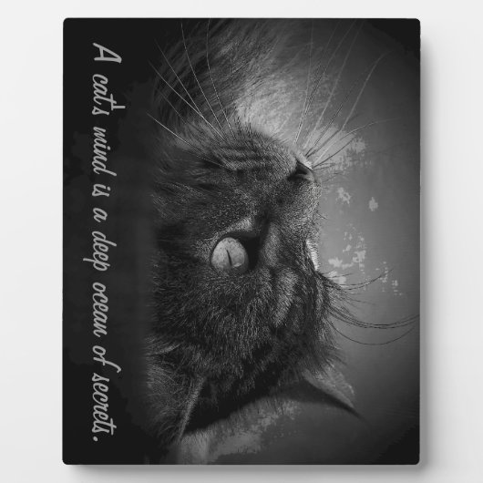 猫の心は秘密の深い大海原 フォトプラーク (正面)