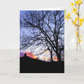猫の思い出のカードを紛失した「Love at Sunset」 カード (黄色い花)