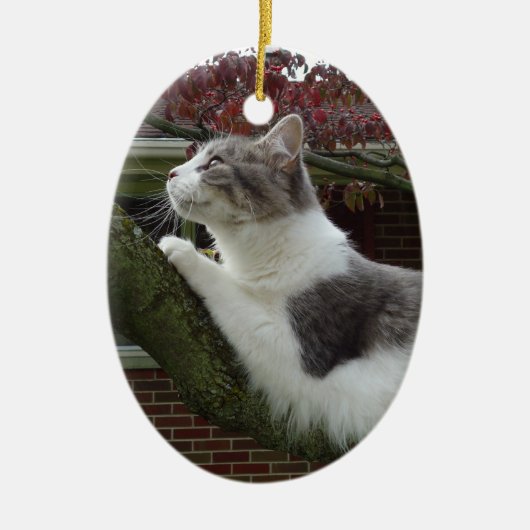 猫の思考 セラミックオーナメント (正面)