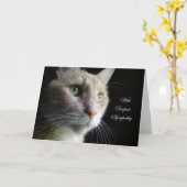 猫の悔やみや弔慰カード カード (黄色い花)