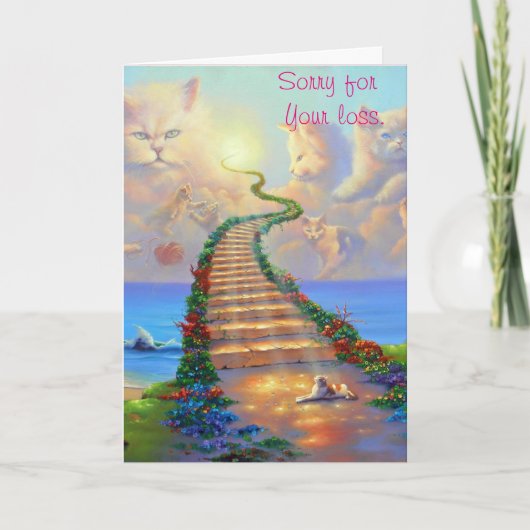 猫の悔やみや弔慰カード カード (正面)