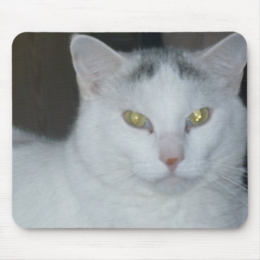 猫の想い白猫 マウスパッド (正面)